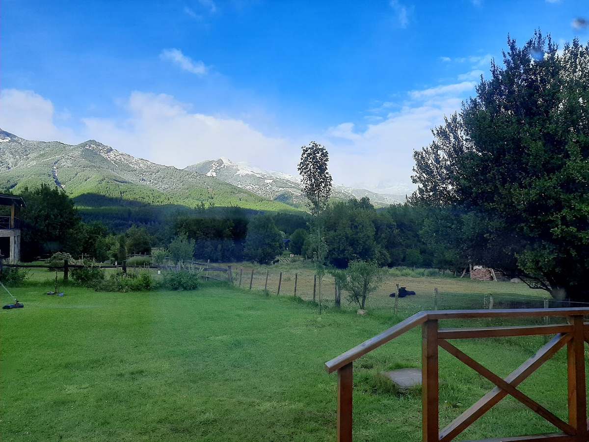 El pasto del predio con las montañas nevadas al fondo