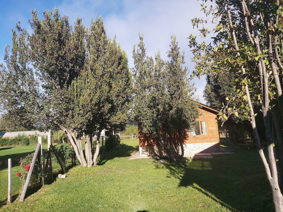 El parque del complejo con los álamos y la cabaña a la derecha
