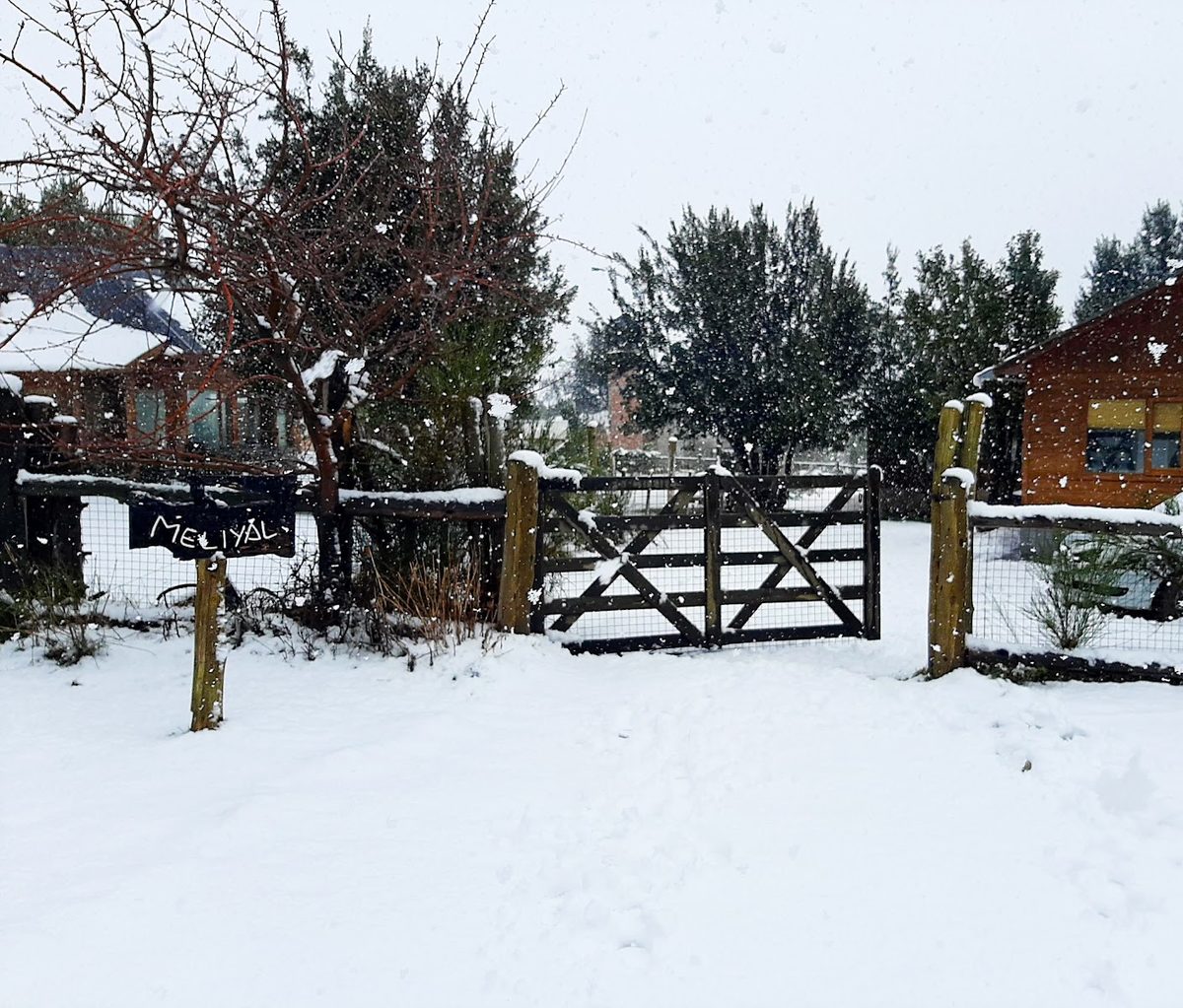 El predio nevado con la tranquera de entrada y el cartel de Meliyal