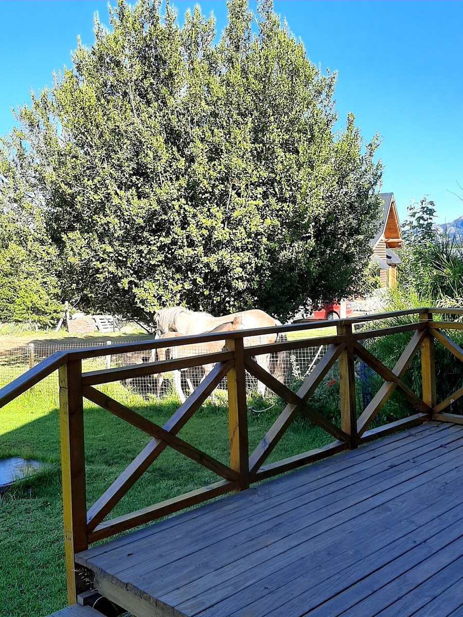 El deck de madera con su baranda y el árbol del parque